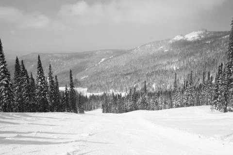 Winter forest. Ski resort. Stock Photos