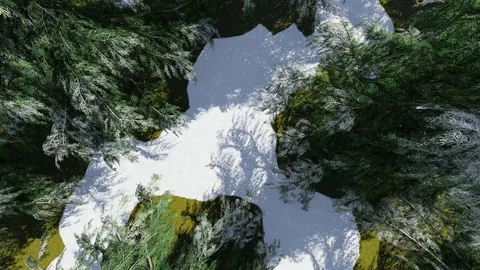 Winter Forest With Snow Animation Video, 3D Rendering Stock Footage 121688872