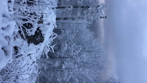 Winter forest in snow-capped mountains. Vertical video Stock Footage 123306278