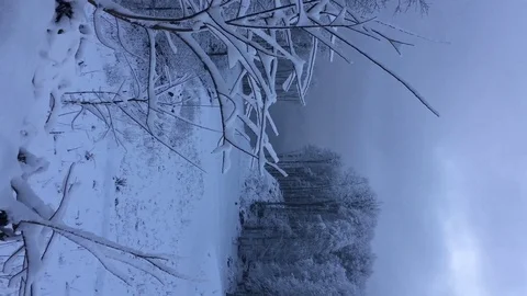 Winter forest in snow-capped mountains. Vertical video Stock Footage 123306370