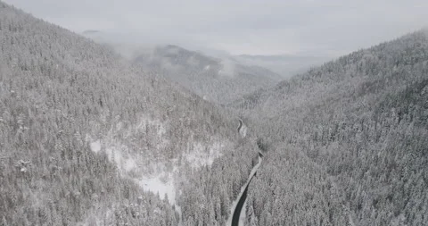 Winter forest with snow covered coniferous trees, scenic aerial snowy landscape Stock Footage 167244310