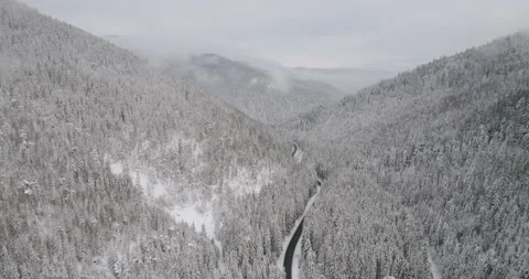 Winter forest with snow covered coniferous trees, scenic aerial snowy landscape Stock Footage 167244324