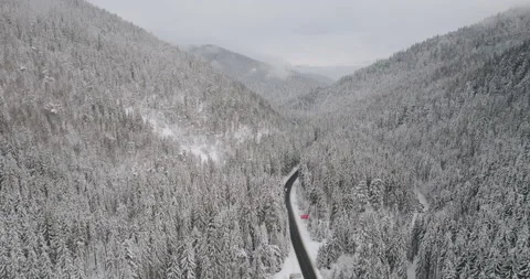 Winter forest with snow covered coniferous trees, scenic aerial snowy landscape Stock Footage 167244349