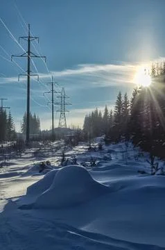 Winter forest, snow covered expanses Stock Photos