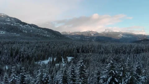 Winter forest with snow covered trees beautiful winter landscape. 4K 24FPS. Stock Footage 149537994