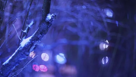 Winter forest in snow Stock Footage 83286411