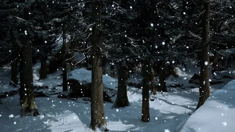Winter forest in the snow Video stock 238996526