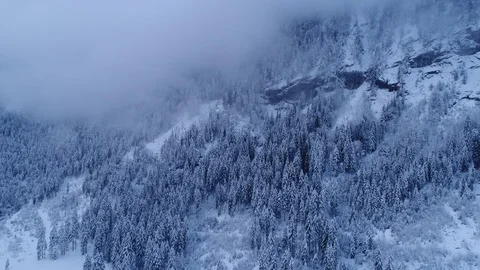 Winter forest with snow in germany. 4K Aerial video footage Stock Footage 89380974