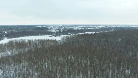Winter Forest Snow Pine trees epic sunset in winter aerial view 4K cideo. Drone Stock Footage 120834207