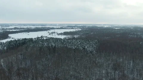 Winter Forest Snow Pine trees epic sunset in winter aerial view 4K cideo. Drone Stock Footage 120834387
