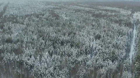 Winter Forest Snow Pine trees epic sunset in winter aerial view 4K cideo. Drone Video stock 120834519