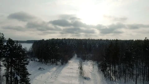 Winter Forest Snow Pine trees epic sunset in winter aerial view 4K cideo. Drone Stock Footage 120834853