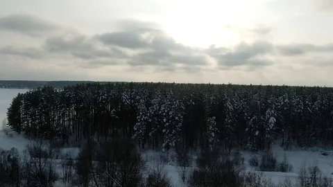 Winter Forest Snow Pine trees epic sunset in winter aerial view 4K cideo. Drone Stock Footage 120834992