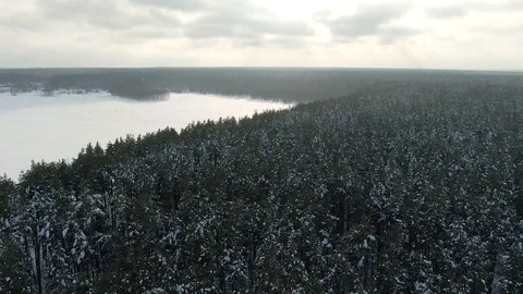 Winter Forest Snow Pine trees epic sunset in winter aerial view 4K cideo. Drone Stock Footage 120835108