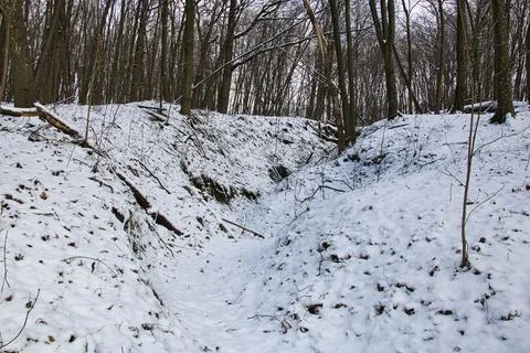 Winter forest in snow with a small gap on the top of the mountain Stock Photos