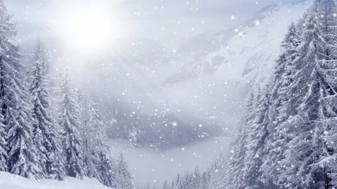 Winter Forest with Snowfall Video stock 161095464