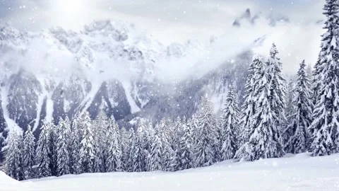 Winter Forest with Snowfall Stock-Footage 161322006