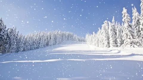 Winter Forest with Snowfall Video stock 164581963