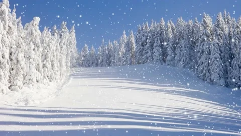 Winter Forest with Snowfall Video stock 165972826