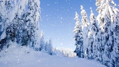 Winter Forest with Snowfall Video stock 166406103