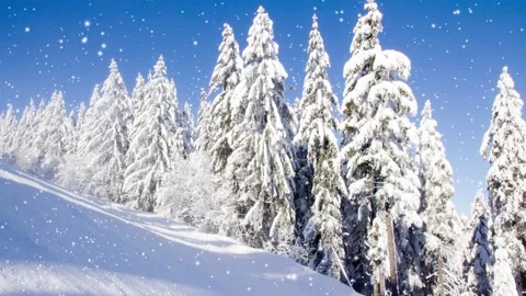 Winter Forest with Snowfall Stock-Footage 166510901