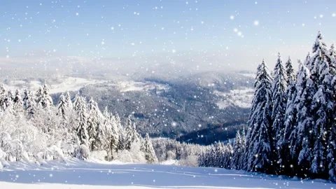 Winter Forest with Snowfall Video stock 166776455