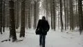 winter forest snowing guy HD Footage