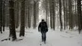 winter forest snowing guy HD Footage