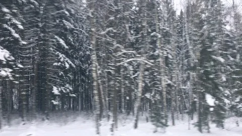 Winter forest snowy road trip, car window view of scenic landscape in Europe, Stock Footage 122315560