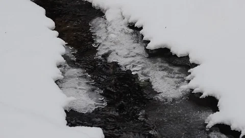 Winter forest stream clean fresh water in ice Stock Footage 124280650