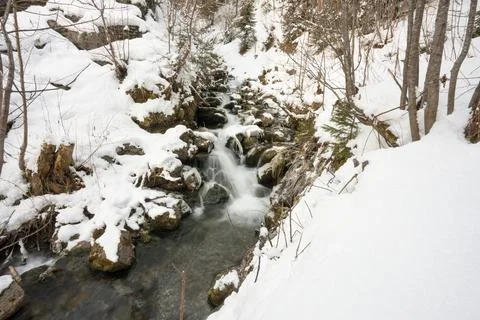 Winter forest stream flowing over snow covered rocks Stock Photos