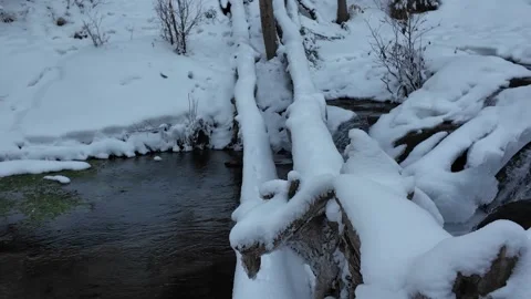 Winter Forest Stream With Flowing Water – Cinematic Nature B-Roll, 4K Video stock 327810035