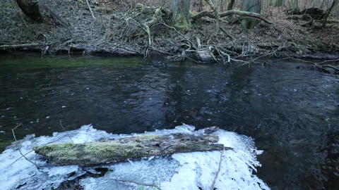 Winter Forest Stream with Ice Video stock 328313466