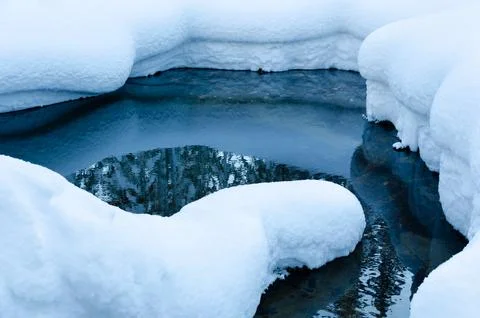 Winter forest stream Stock Photos