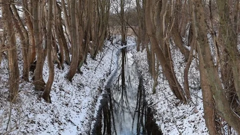 Winter forest stream with snow covered trees Stock Footage 325892735