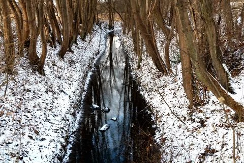 Winter forest stream with snow covered trees Stock Photos