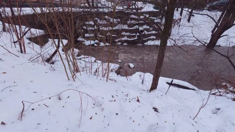 Winter forest stream with strong water current Stock Footage 324548133