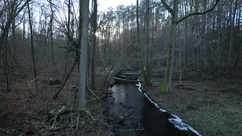 Winter Forest Stream at Sunset Video stock 328312472
