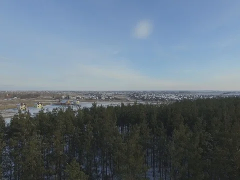 Winter forest, sunny day. D-Log Flat Video For Editing Stock Footage 71556708