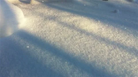 Winter forest in a sunny day Stock Footage 18174138