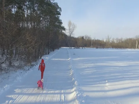 Winter forest, sunny day. Sledging. D-Log Flat Video For Editing Video stock 71671573