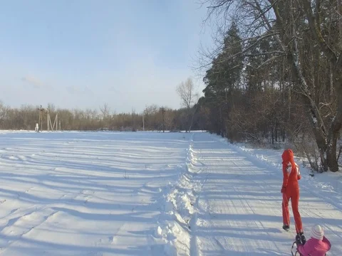 Winter forest, sunny day. Sledging. D-Log Flat Video For Editing Stock Footage 71671900