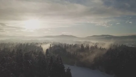Winter forest at sunrise Stock Footage 83267238