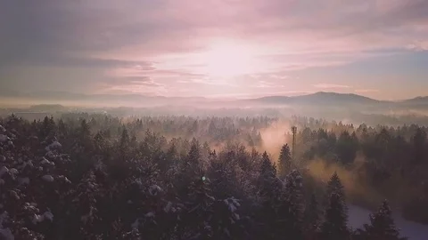 Winter forest at sunrise Stock Footage 85457846