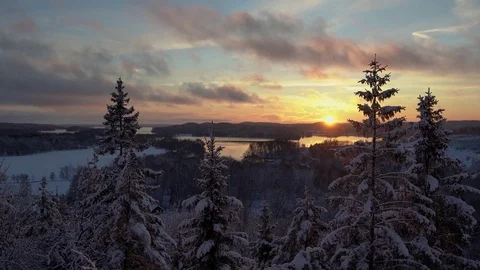 Winter forest sunset. 4K, 25p Vídeo Stock 83393748