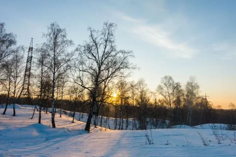 Winter forest at sunset Stock Photos