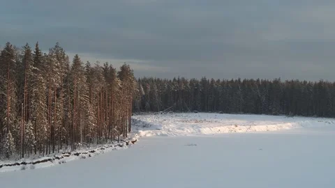 Winter forest. Takeoff over the lake. 動画素材 145790532