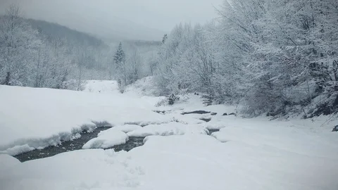 Winter forest.  Thawed in the snow.  Snow-covered trees. Video stock 72351734