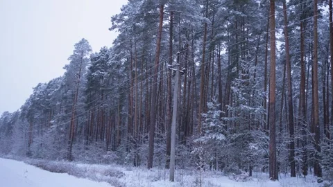 In the winter forest, there is a pole with electrical wires covered in snow. An  Stock Footage 326069415