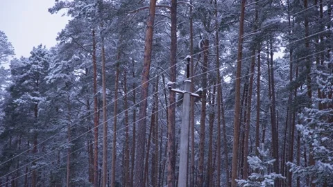 In the winter forest, there is a pole with electrical wires covered in snow. An  Stock Footage 326070056